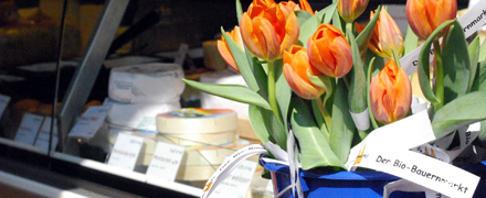 Eröffnung Ökomarkt Maternusplatz