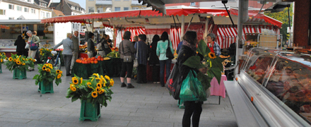 Eröffnung Ökomarkt Maternusplatz
